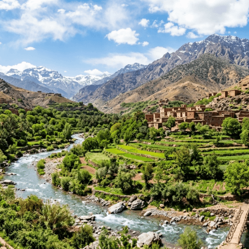 Day Trip to Ourika Valley