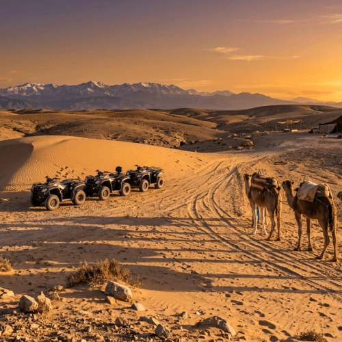 Excursion Quad & Camel Ride in Agafay Desert