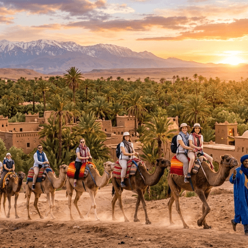 Camel Ride in the Palm Grove