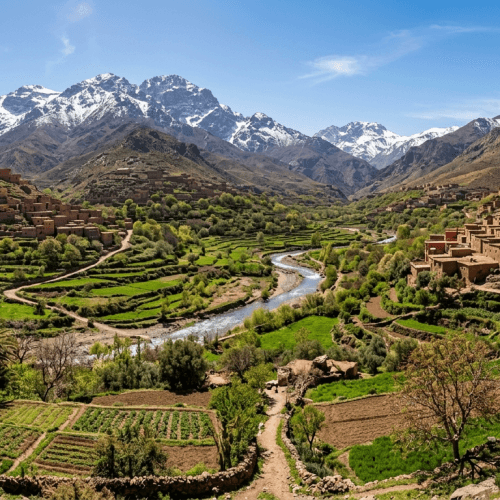 Day Trip to Tassa Ouirgane