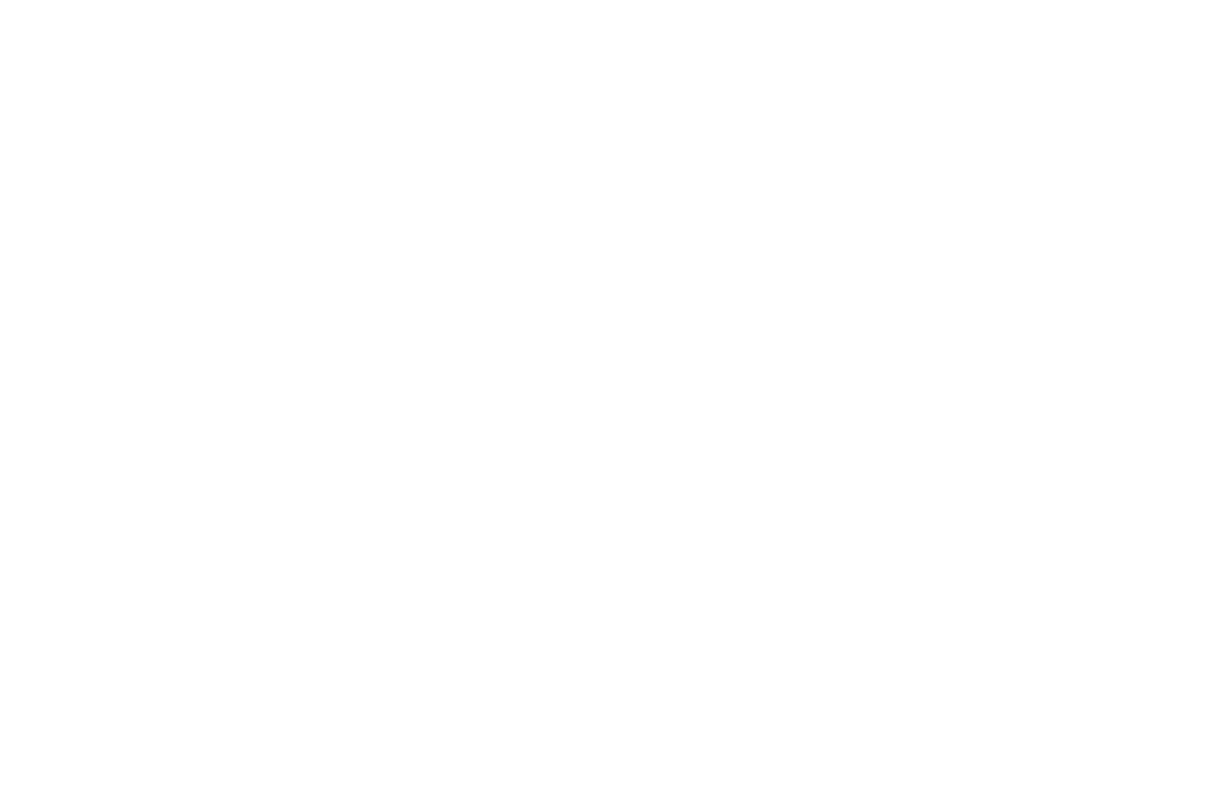 MY HOLIDAY